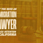 Best US ICE detention attorney