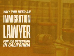 Best US ICE detention attorney