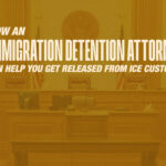 Immigration detention attorney ICE release